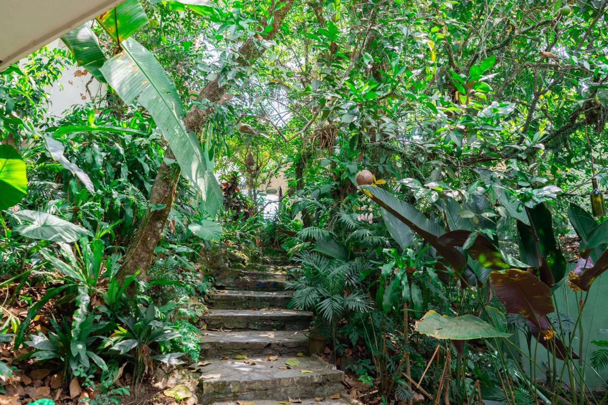 Hotel Paraiso Encantado Xilitla Ngoại thất bức ảnh