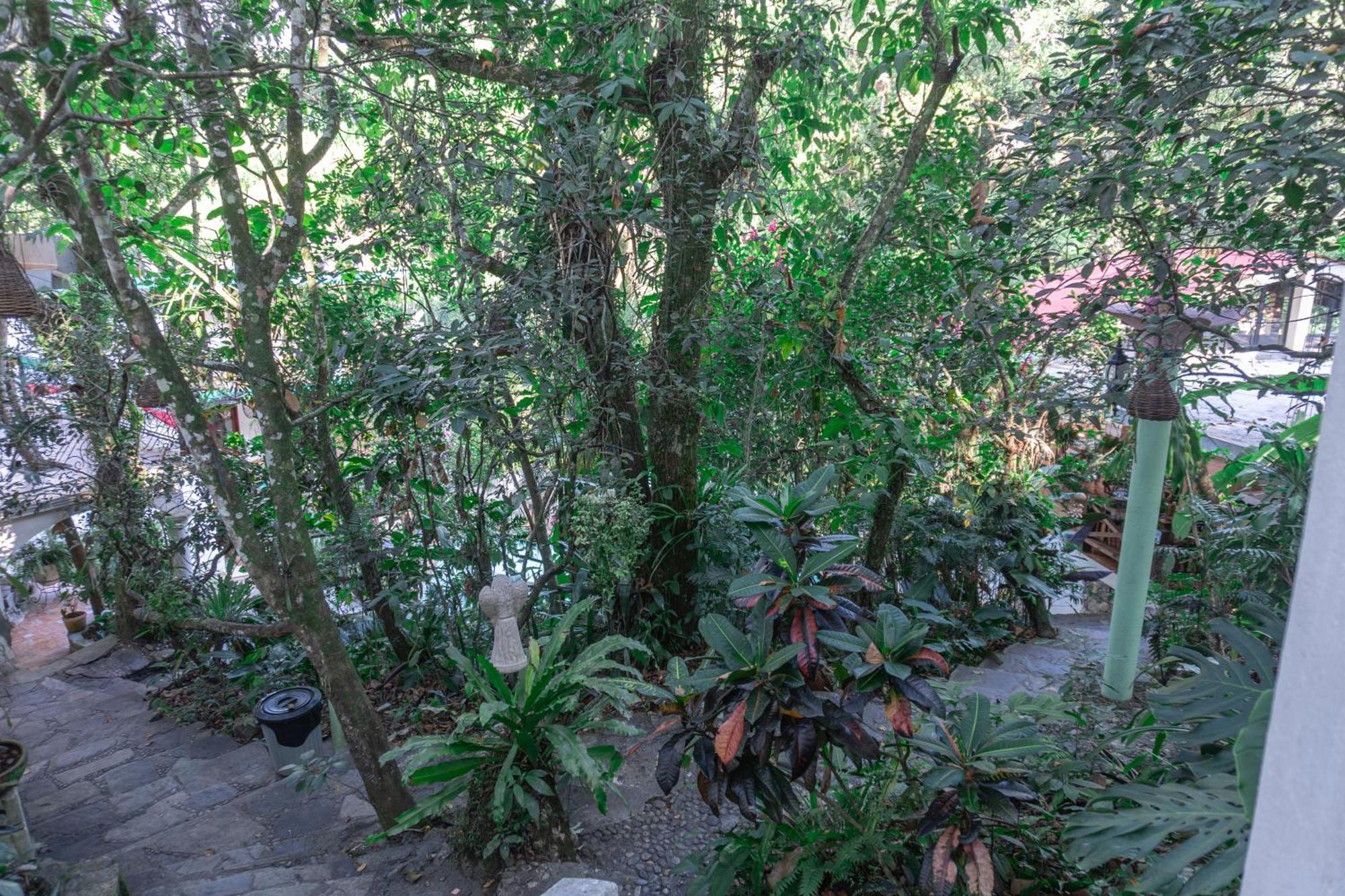 Hotel Paraiso Encantado Xilitla Ngoại thất bức ảnh